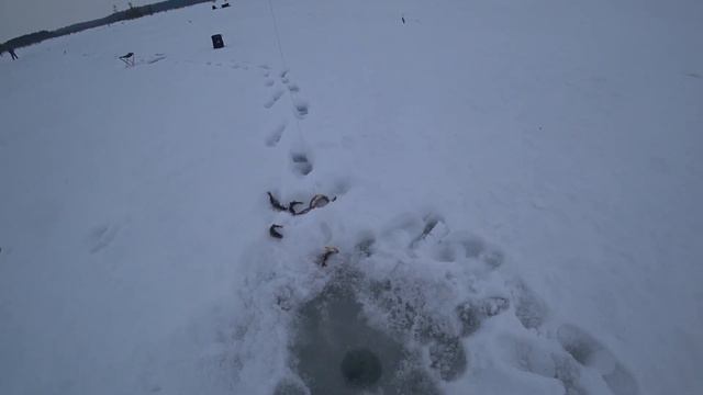 Ловля окуня на блёсна и мормышку. Рыбалка на озере Ваштор.