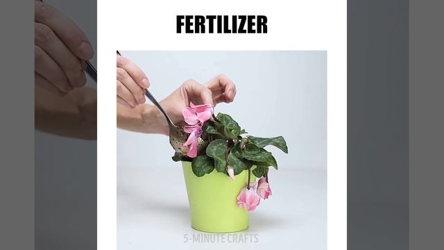 28 EGG-STREMELY DELICIOUS HACKS смотреть онлайн