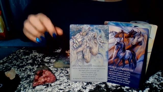 Spirit of Animals ORACLE REVIEW смотреть онлайн