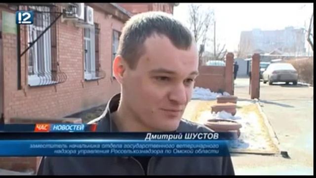 Останки животных обнаружены в дачном хозяйстве смотреть онлайн
