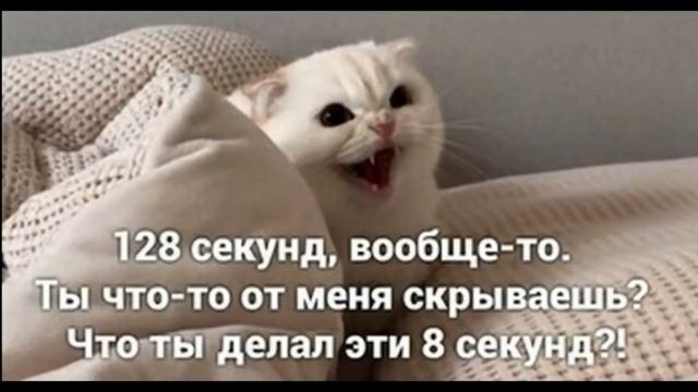 Лютые приколы. КОТ - ФЕЯ!!! Тест на психику! Засмеялся проиграл! – Domi Show! смотреть онлайн