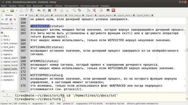 Programming C/Linux (Сигналы и процессы в C/Linux. Многопроцессное программирование.) смотреть онлайн