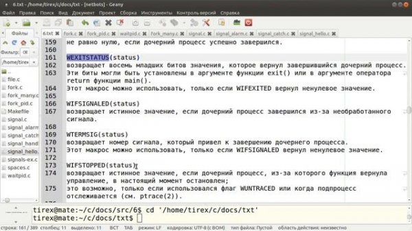Programming C/Linux (Сигналы и процессы в C/Linux. Многопроцессное программирование.)