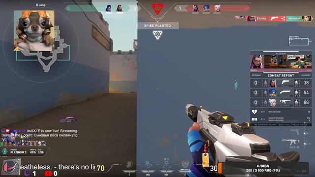 Смотреть стрим по Valorant без регистрации и смс смотреть онлайн