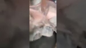 Замена переднего подшипника ступицы  Mersedes-Sprinter (906)