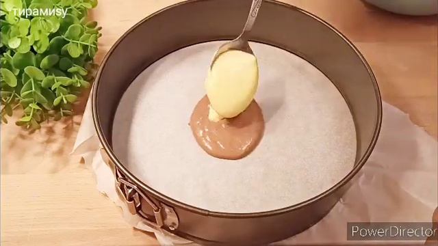 Цирковые Представления и Шоу