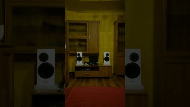 Tonsil Pulse sat Denon m39 смотреть онлайн
