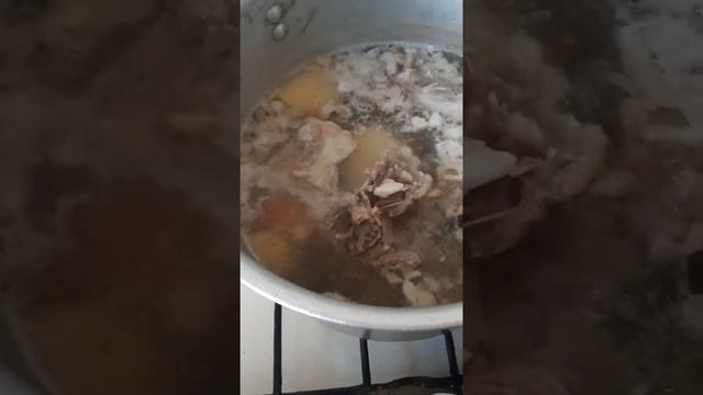 Хом Шурбои Точики ??