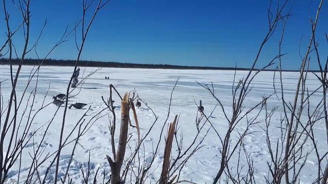 Охота на гуся Ойусардах 2019г смотреть онлайн
