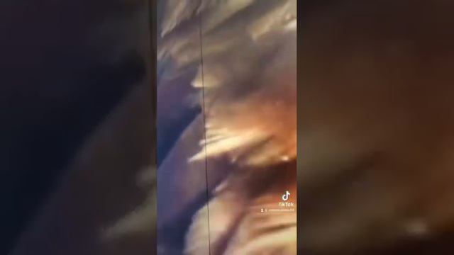 Купили в прошлом году новый телек @Samsung AU8000 Crystal UHD 4K и спустя год появились полосы