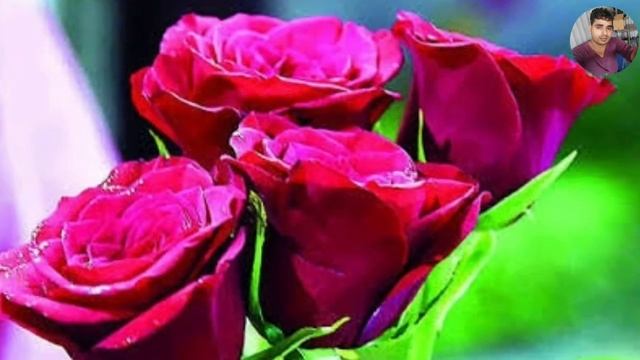 বিয়ের গান রুহানার মায়ের রোহানা ধন রে 2022 Bihar gaan Biyar gaan Bangla Biyer geet Biyar geet смотреть онлайн