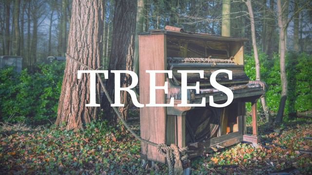 Robert Martirosian - Trees смотреть онлайн
