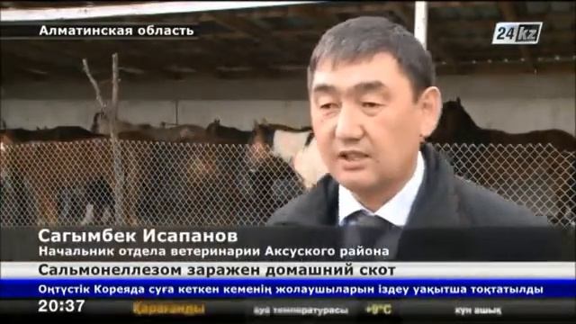 В Алматинской области скот заражается сальмонеллезом из года в год смотреть онлайн