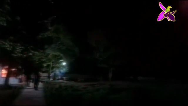 В Шуша прошёл Праздничный салют смотреть онлайн