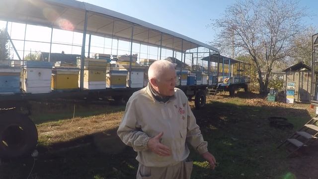 Как сохранить запасных маток Зимовка слабых отводков смотреть онлайн