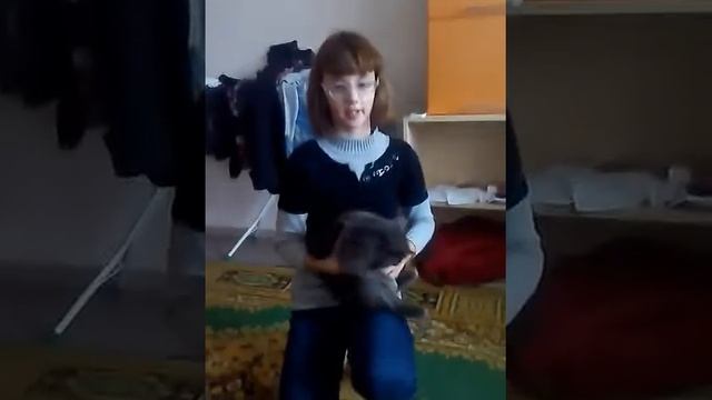 Как уговорить маму купить кошку смотреть онлайн