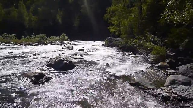 Река Кумир в Горном Алтае смотреть онлайн