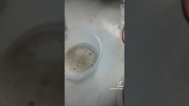 Разделение старой орхидеи на 2 смотреть онлайн