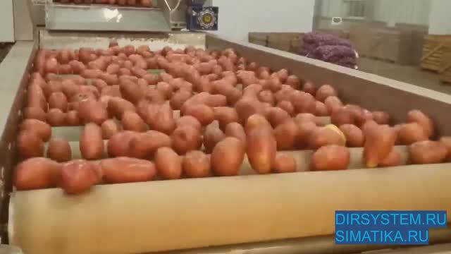 СУФ-16(10) Сушка фетровая, 16 роликов или 10 роликов смотреть онлайн