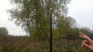 Ловля певчих птиц на орнитологическую сеть. Немного из отдыха в деревне!)