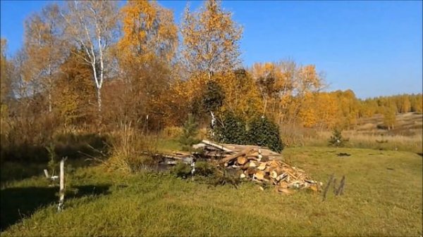 Порнуха деревенская или народ к разврату готов