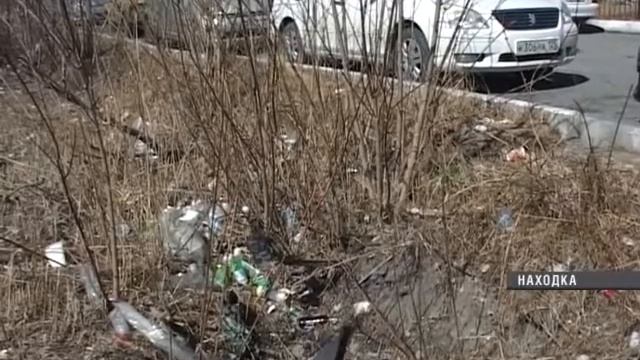 В Находке волонтёры устроили субботник смотреть онлайн