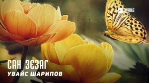 Увайс Шарипов - Сан зезаг | KAVKAZ MUSIC CHECHNYA