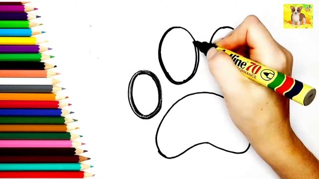 Лапка рисунок для детей.Как рисовать Лапу.Раскраска. смотреть онлайн