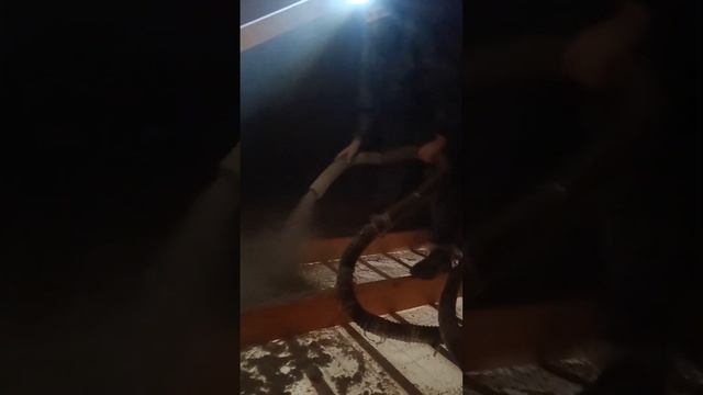 Утепление чердачного перекрытия Эковатой Экстра п  Моставской