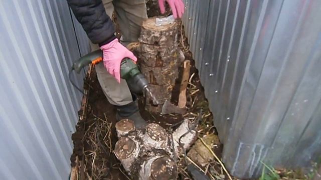 ВЕШЕНКА ПОСАДКА НА ПНИ смотреть онлайн