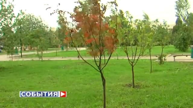 До конца года благоустроят улицу Осипенко смотреть онлайн