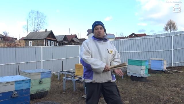 ОЧЕНЬ ВАЖНЫЕ ТОНКОСТИ ДЛЯ ХОРОШЕЙ ЗИМОВКИ ПЧЕЛ ПРИ ПОДГОТОВКЕ!!! ДЛЯ НАЧИНАЮЩИХ ПЧЕЛОВОДОВ 34-21 смотреть онлайн