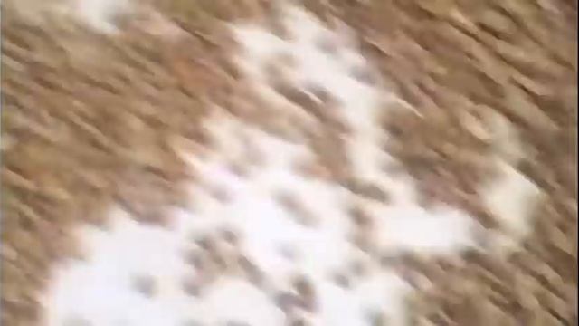 #СбабушкойГалей#обо#всем    Полезные советы.Как правильно сварить гречку)))