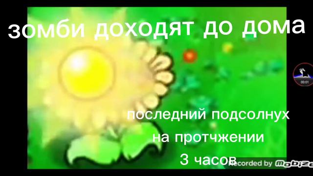 подсолнух флексит мем смотреть онлайн