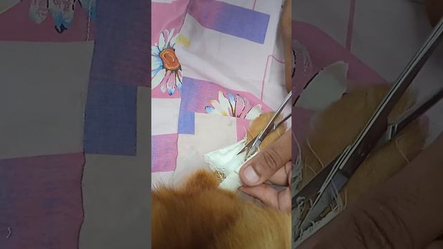 Инъекция при "сердечном кашле" для собачки от доброго доктора Айболита - Бабутана Дениса Пьеровича смотреть онлайн