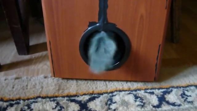 genius 5.1 woofer смотреть онлайн