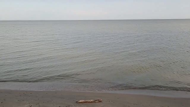 Обское водохранилище ?☀пляж, село Ленинское Новосибирская область. Обское море. смотреть онлайн
