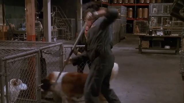 Beethoven (1992) - Beethoven In The Warehouse