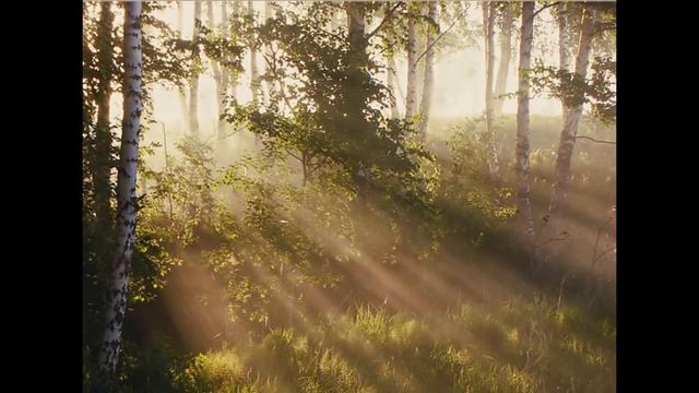 Утро. Рассвет. смотреть онлайн