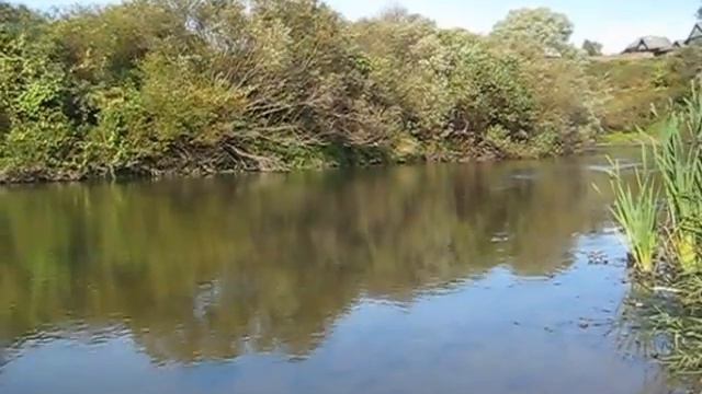 Река Обша, сентябрь 2011 год Изображение 003 смотреть онлайн