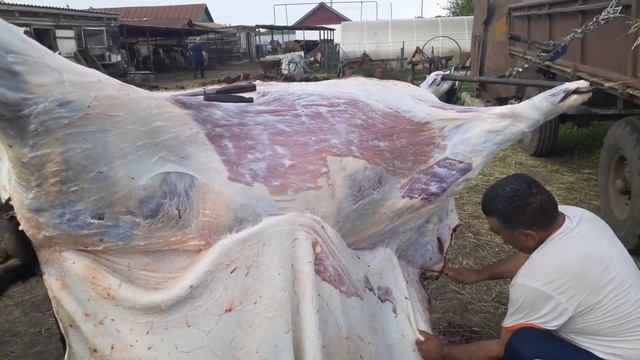 Забой скота в деревне на мясо смотреть онлайн