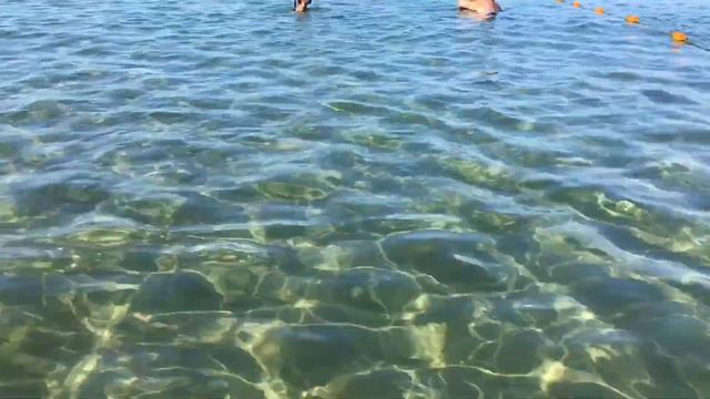 Пляхо, ВДЦ «Орлёнок», платный пляж смотреть онлайн