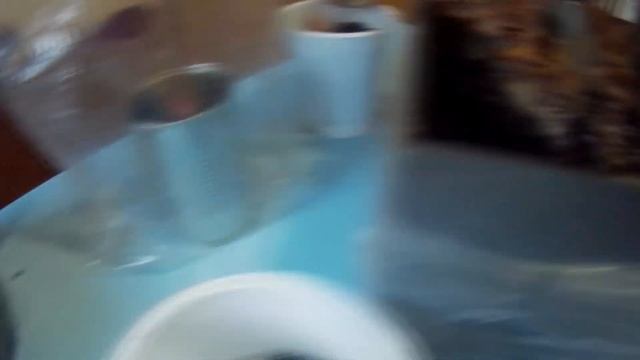 Комнатные растения. Бегония Pearle de Paris. смотреть онлайн