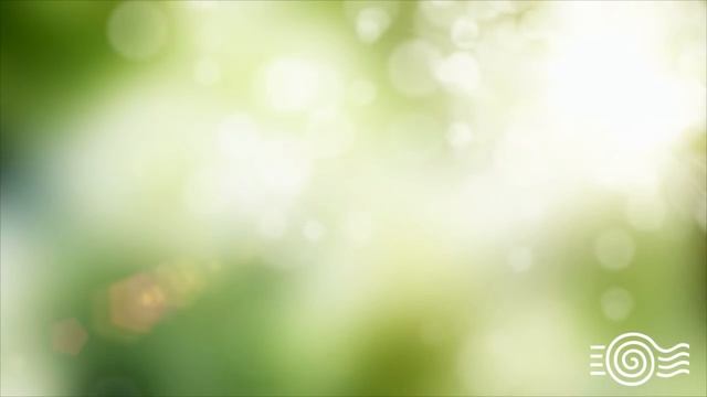 10 Minute Attract Money Subliminal Affirmations смотреть онлайн