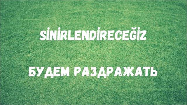 Турецкий язык для начинающих. Rusça fiiller. Турецкие глаголы (55) смотреть онлайн