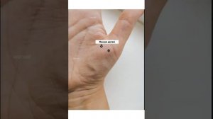 Линия детей на ладони | деторождение