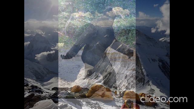 Шок !!!!!!!!Встреча с настоящим Йети!!!Смотри за секретное видео пока его не удалили!!!!!! смотреть онлайн