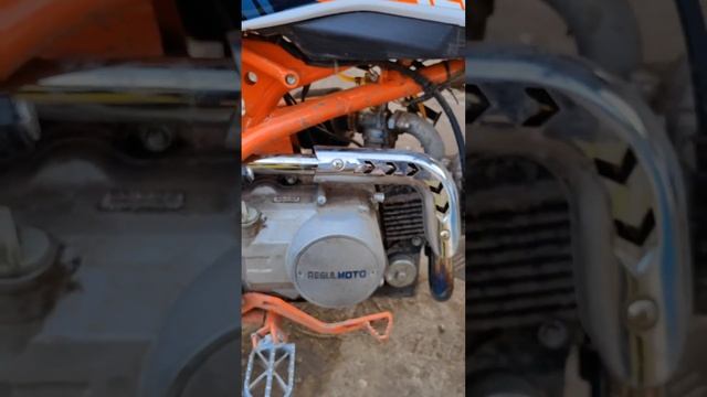 питбайк регулмото пилот 110| REGULMOTO PILOT 110