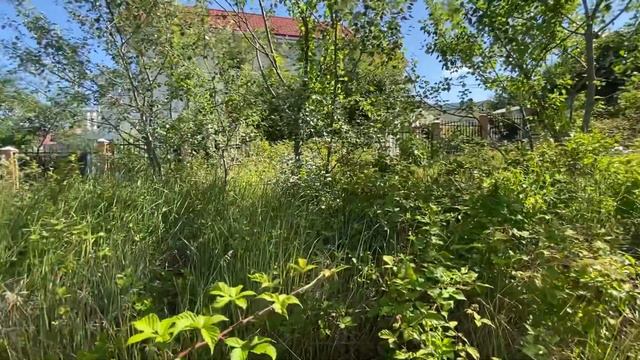 Продаю земельный участок в Сочи. Мультиссылка на координаты https://seeyour.info/_GN_ смотреть онлайн