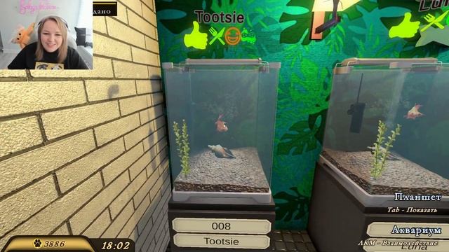 ТРЕШ ОТЕЛЬ ЛЕНИВЫЕ СОТРУДНИКИ ➤ PETS HOTEL ➤ Ч.3 ➤ ПРОХОЖДЕНИЕ ➤ МИЛАЯ ИГРА ПРО ЖИВОТНЫХ смотреть онлайн